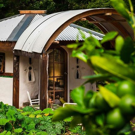 Cob Cottage @ Tara Retreat Mangawhai Exterior foto